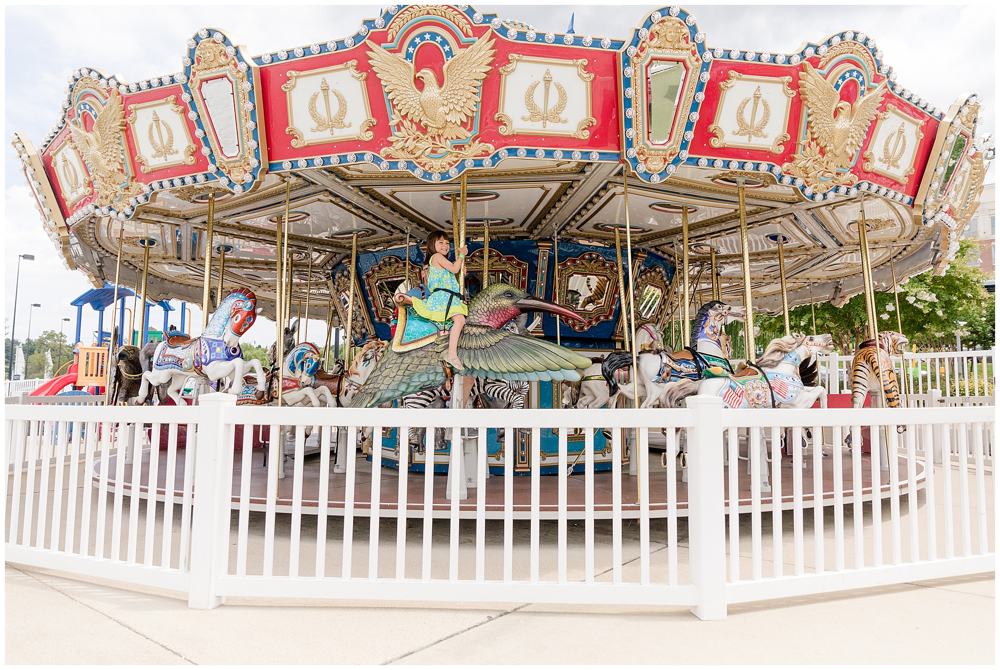 Carousel at National Harbor by DC Photographer Bethany Kofmehl